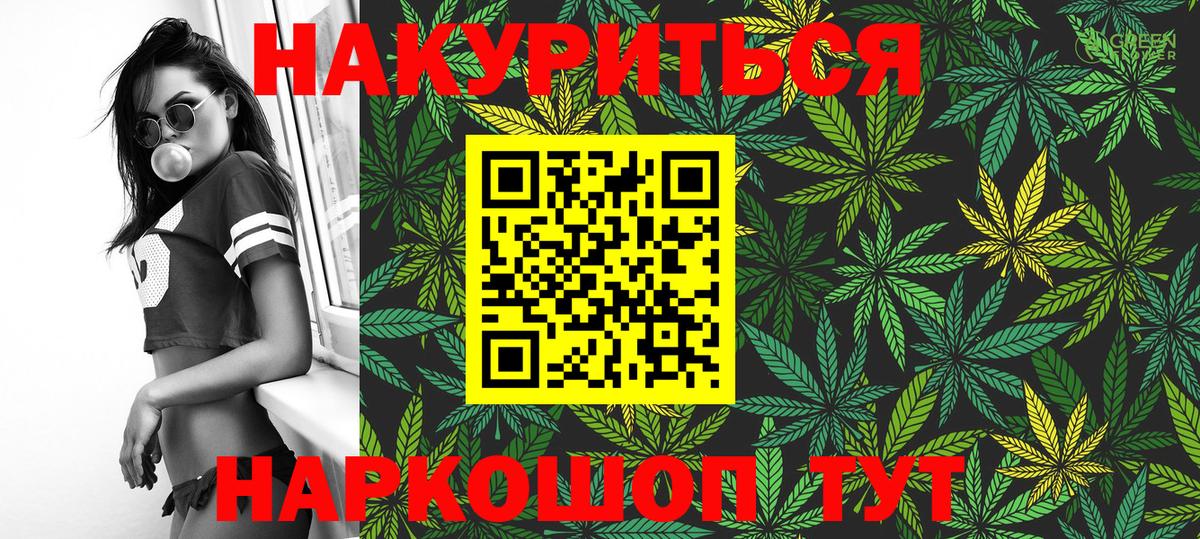 Каннабис OG Kush Сокол