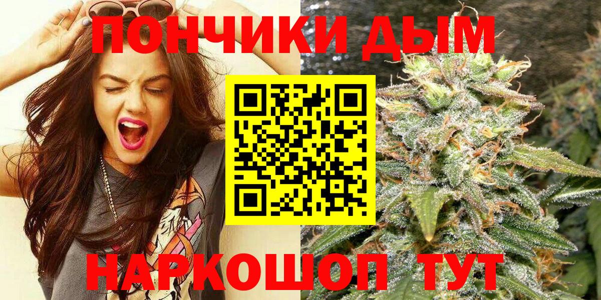 Каннабис конопля  Марихуана сатива  Вход с VPN  Сокол  МАРИХУАНА Bruce Banner 